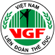 Liên đoàn Thể dục Việt Nam